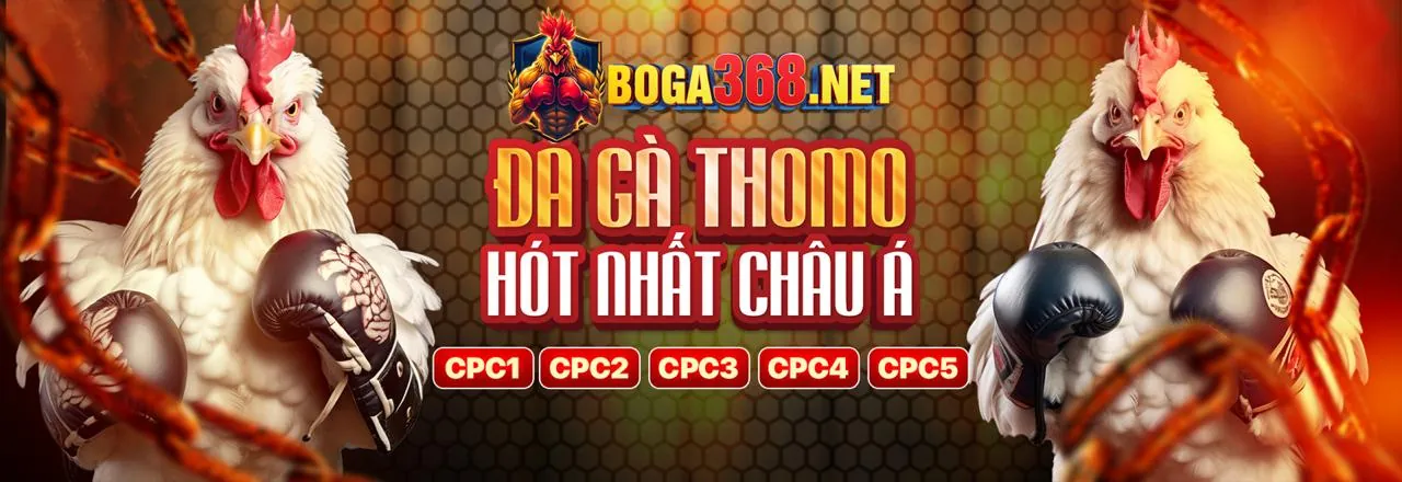 Tổng quan Điều khoản Dịch vụ SP8BET