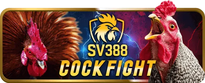 Đá Gà Trực Tiếp SP8BET