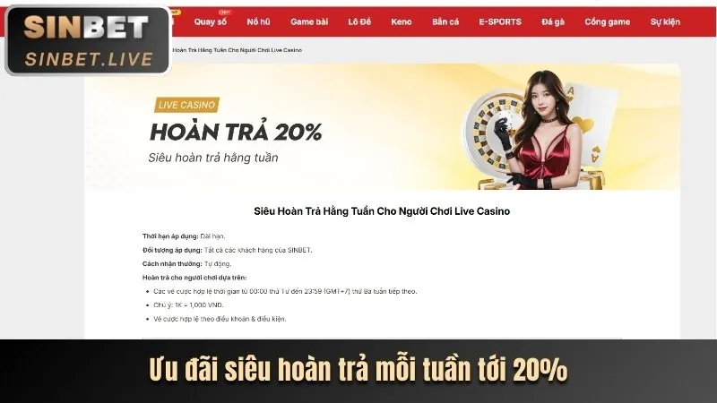 Lợi ích khi sử dụng liên kết mới SP8BET chính thức